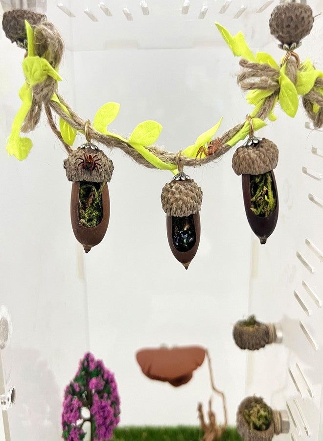Daerky Jumping Spider Hide, Magnetic Climbing Rope Bridge, Handmade Real Acorn Hideaway Cave, Spider Platform, Decorative Accessory for Small Reptile Enclosures (Style 1) - Image 1